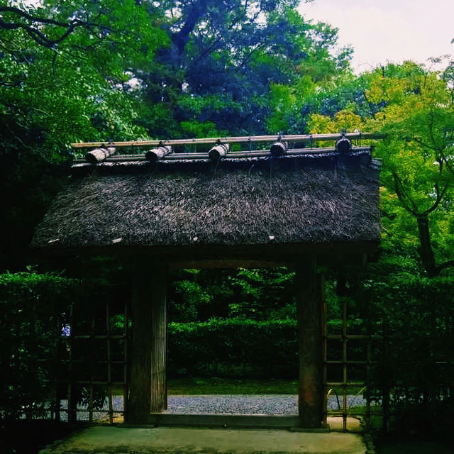 京都🇯🇵桂離宮