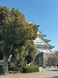 พาเที่ยว Osaka Castle ฉบับเดินชมรอบๆ
