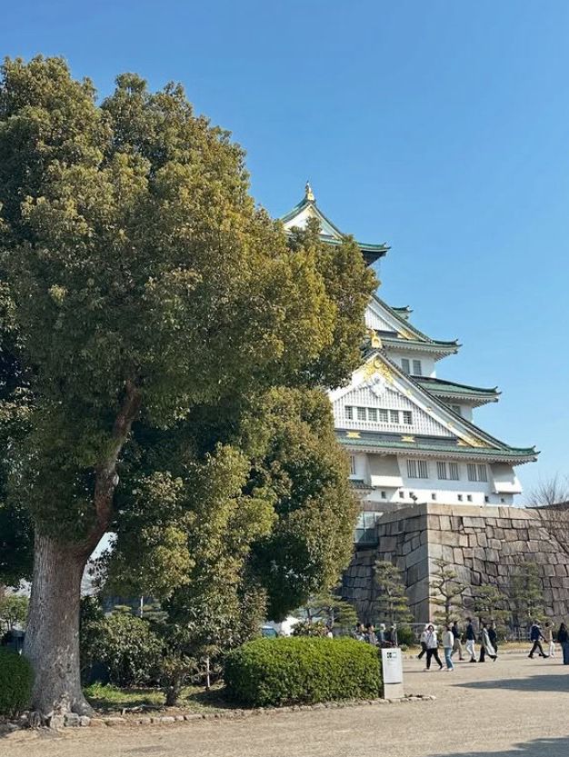 พาเที่ยว Osaka Castle ฉบับเดินชมรอบๆ