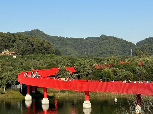 My Weekend Escape: Soaking Up Nature at Hongqiao Park! 🌳☀️
