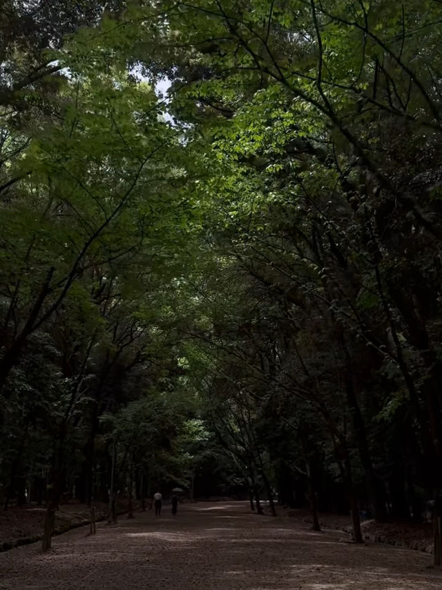 【時を司る神社⛩️】近江神宮で歴史とカルタの聖地巡礼✨