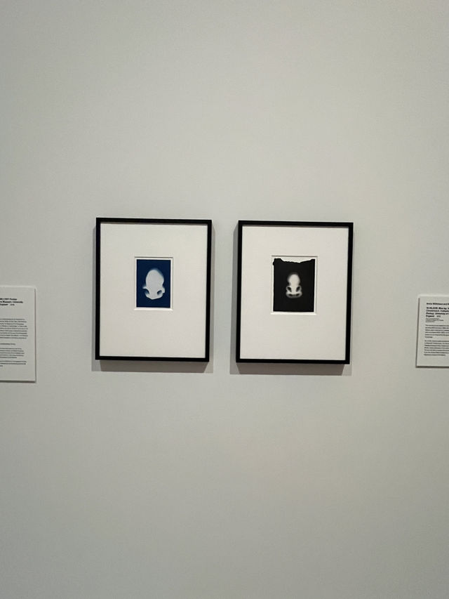 🎨梵谷與莫內真跡就在奧克蘭！城市裡的靈魂片刻｜Auckland Art Gallery