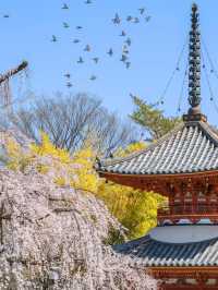 🇯🇵 Tokyo Day Trip to Kawagoe | A Journey Back to the Edo Period