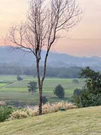 คาเฟ่  ฟาร์มแกะในเมืองเชียงราย ABONZO