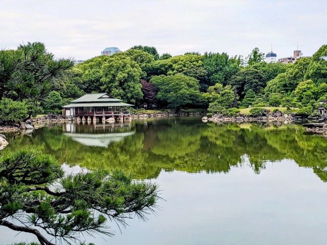 東京 | 清澄庭園賞花，以名石奇岩著稱的日式庭園