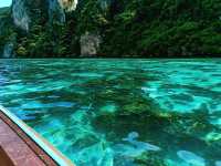 Paradise Found at Phi Phi Islands