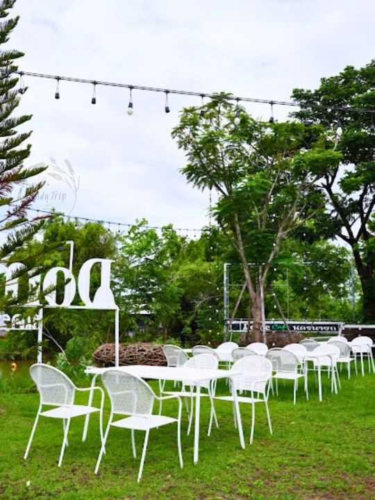 💞 DOME CAFE นครนายก
