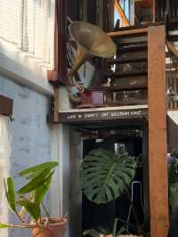 🏡 “Mother Café – บ้านไม้ไอศกรีม 