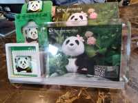 🎋【成都｜大熊貓基地】🐼 熊貓控的天堂 × 私人導覽超值推薦 × 捐款還送限量熊貓娃娃！