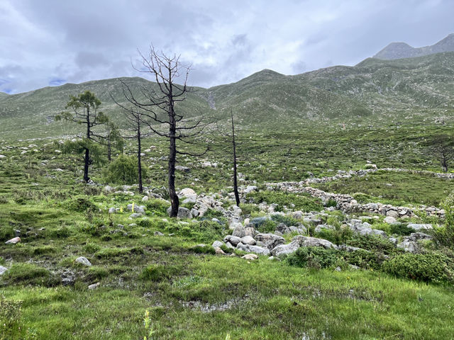🌲🌊 Mugecuo Lake (木格措) — Highland Gem Near Kangding