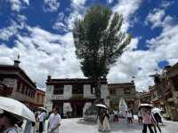 🏔️ Immerse in Tibetan Slow Life at 勒通古镇 (Letong Ancient Town), Litang