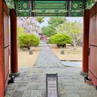 Understanding Jeju's Unique Identity Through Its Governance
