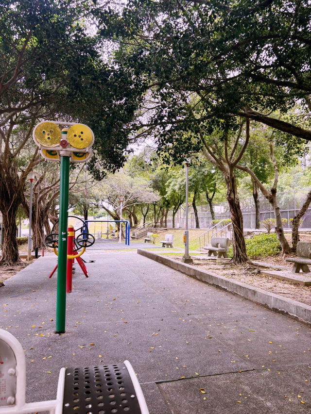 桃園忠義公園介紹 🌳
