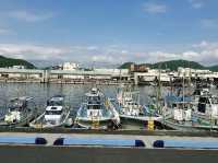 Numazu Port: Catching the Fish Market After Hours! 🐟☀️
