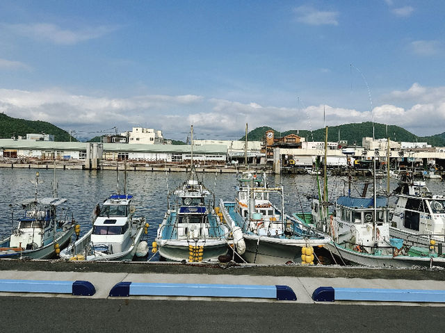 Numazu Port: Catching the Fish Market After Hours! 🐟☀️