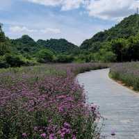 Thung Nham Bird Park (Ninh Binh)