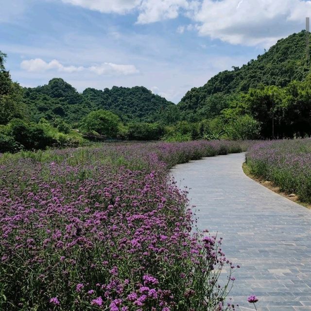 Thung Nham Bird Park (Ninh Binh)