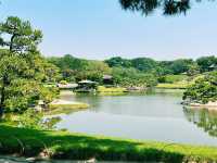 冈山后乐园一日游｜日本三大名园·四季美景全收录