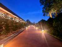 Nightscapes at Japanese Gardens