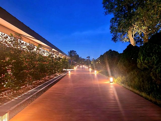 Nightscapes at Japanese Gardens
