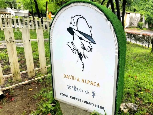 David & Alpaca Café: Coffee, Cuddles and Cuties in Taipei