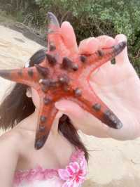 🇻🇳 Starfish beach Phu Quoc — เกาะฟูก๊วก เวียดนาม