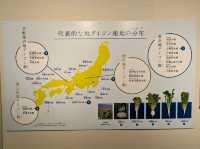 京都 | 「和食」特展---日本自然與人民的智慧
