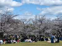 大阪市郊的親子友善景點/萬博紀念公園