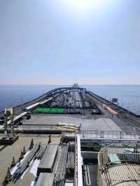 Driving Through the Sea: Tokyo Wan Aqua-Line & Umihotaru