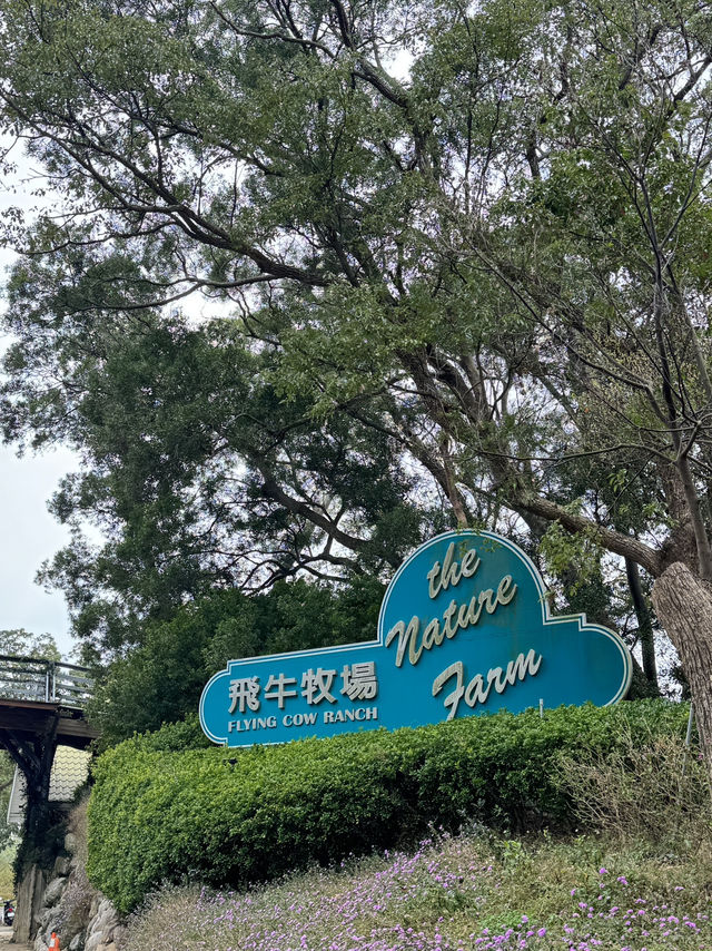 飛牛牧場