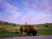 Wichita Mountains Wildlife Refuge – Lawton, OK