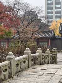 Rainy day of Changdeokgung Palace 