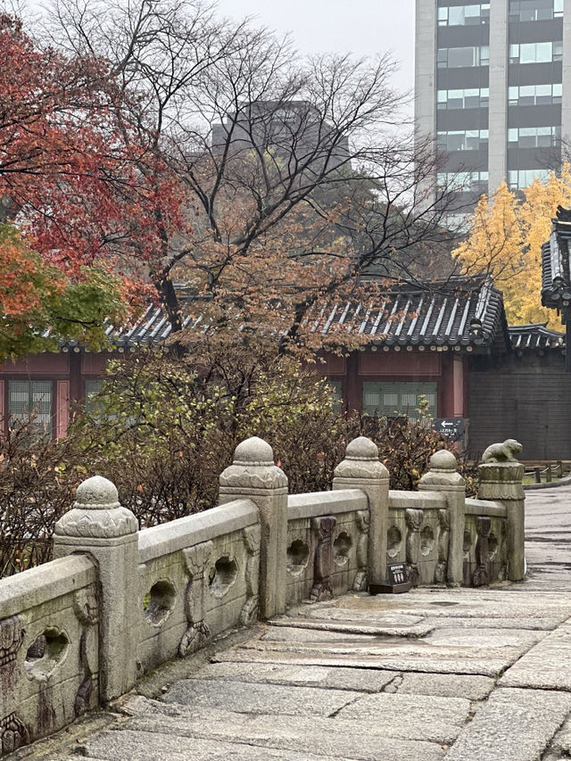 Rainy day of Changdeokgung Palace 