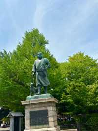 From Pandas to Petals: The Wonders of Ueno Park