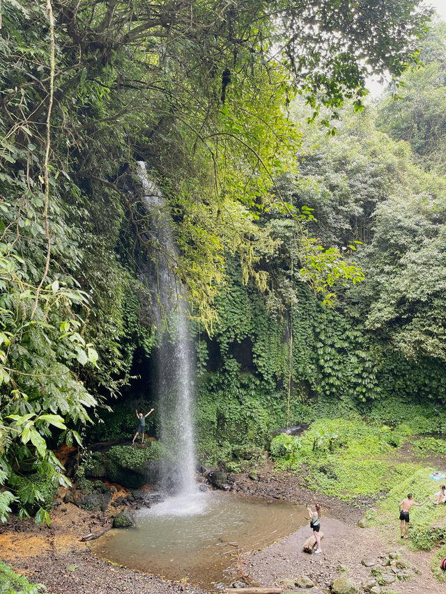 Banyu Wana Amertha Waterfall view 1