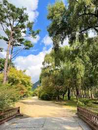 Gyeongbokgung Palace – A Glimpse of Royal Korea