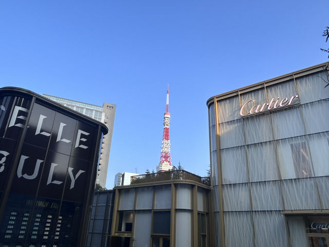 到東京怎能不到東京塔🗼