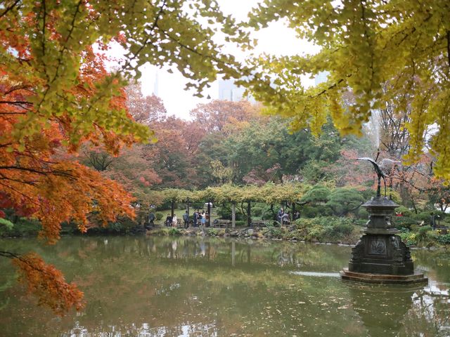 秋意盎然的都心秘境日比谷公園