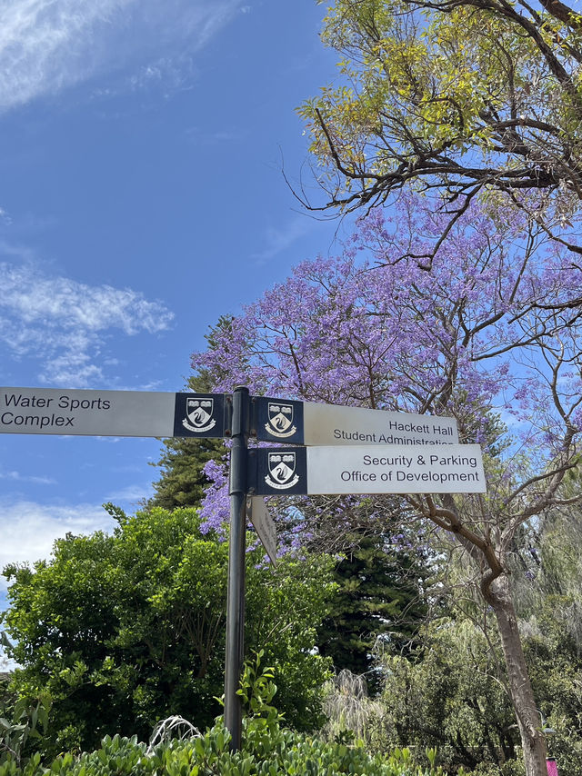 Welcome to UWA, Perth’s Most Beautiful Campus 🌿📚