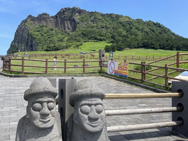 Jeju: A Foodie's Paradise! 🍜🐷🦀