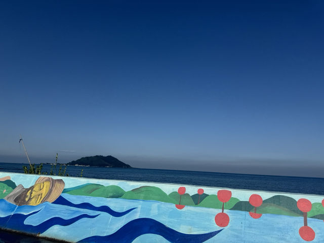【韓国旅行🇰🇷】済州の海を見たよ！🌊