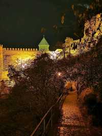 Night Strolls and City Glow at Narikala Fortress