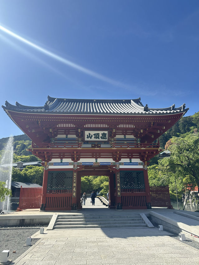 วัดดารุมะ Katsuoji temple