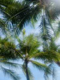 Phu Quoc: calm, clean, and comfortably warm
