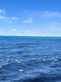 To the Edge of Serenity: Exploring Qinghai Lake
