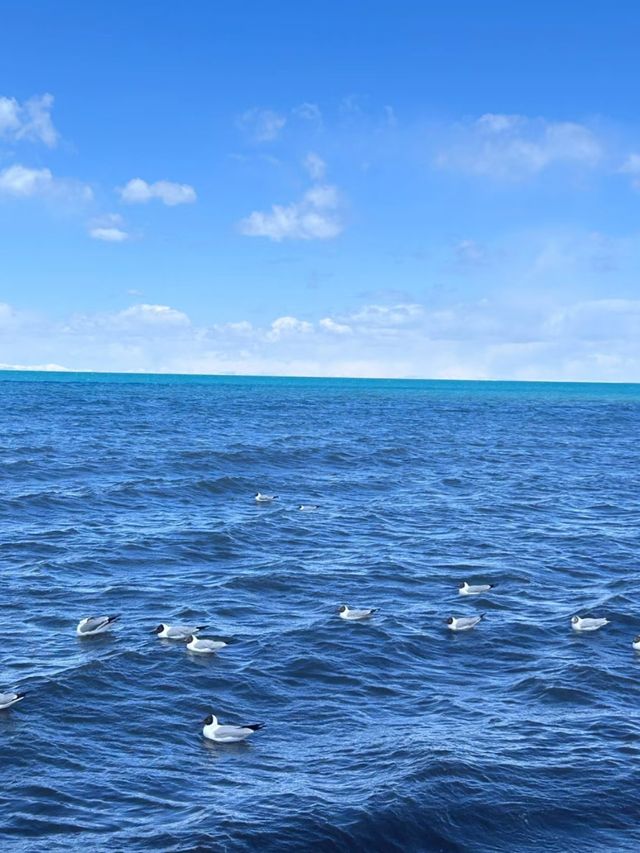 To the Edge of Serenity: Exploring Qinghai Lake