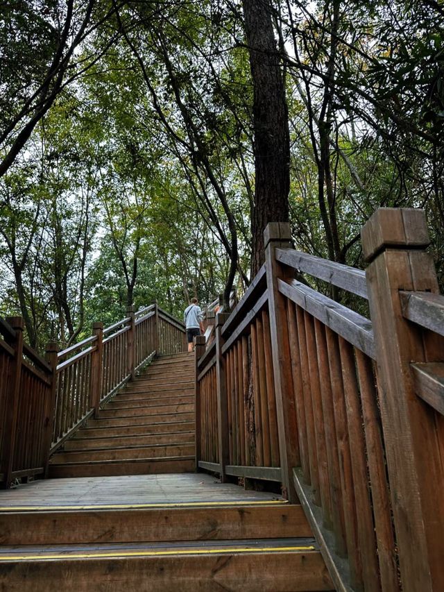 Step into the Sky: Exploring Zhangjiajie Grand Canyon