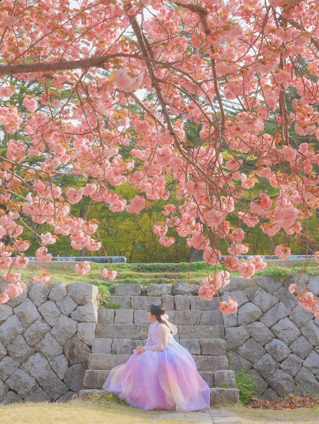 내가 사랑한 경주의 봄🌸❤️