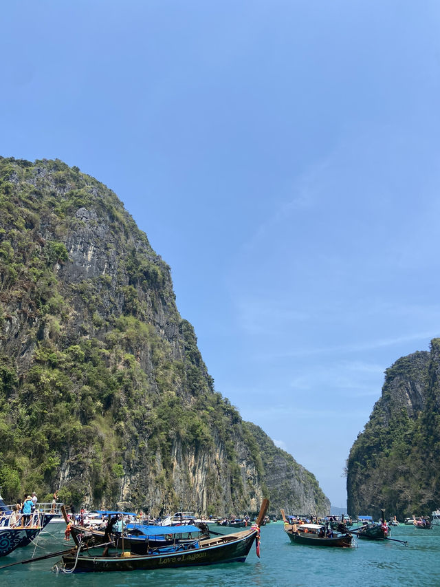 PhiPhi Island สวรรค์ของคนรักทะเล 🏝️