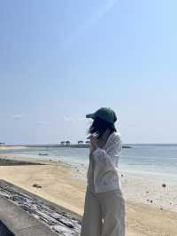 ปั่นจักรยาน หมู่บ้าน Bise-Fukugi (Okinawa) 🌲🚲🐈